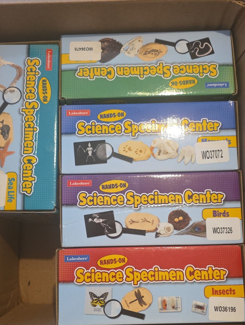 Hands-On Science Specimen Center - Multi Color